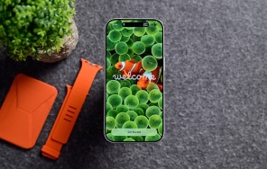 بعد از نصب iOS 27 این 10 کار را حتماً انجام دهید
