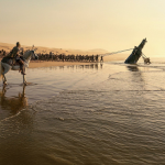والپیپرهای رسمی فیلم The Odyssey را برای آیفون دانلود کنید